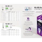 KANLUX 27294 | E14 5,5W -> 40W Kanlux gyertya C37 LED fényforrás IQ-LED SAFE light - IQ-LED C37E14 5,5W-WW - 470lm 2700K 280° CRI>80