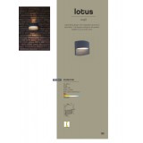 LUTEC 5193201118 | Lotus-LU Lutec fali lámpa 1x LED 500lm 3000K IP54 antracit szürke, áttetsző