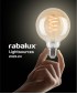 RABALUX LIGHTSOURCES 2023 / 2024 - 19. oldal